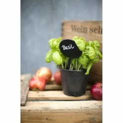 Nouveau ⭐ Outils Divers Lot De 5 Ardoises Silhouette - Bulle - Feutre + Craie - Securit 🔔 -Matériel loisirs Soldes unnamed file 373